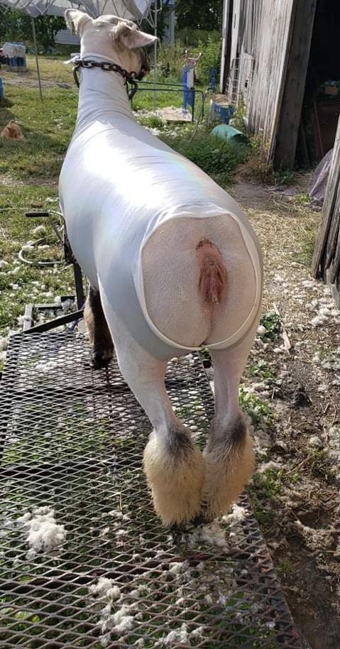 Thrifty Tube - Black