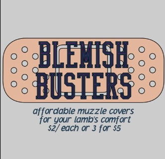 Blemish Busters