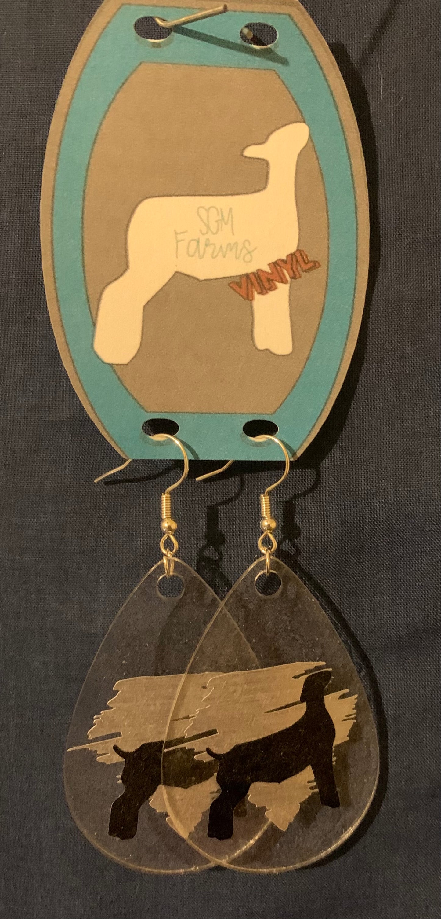 Acrylic Teardrop Show Earrings