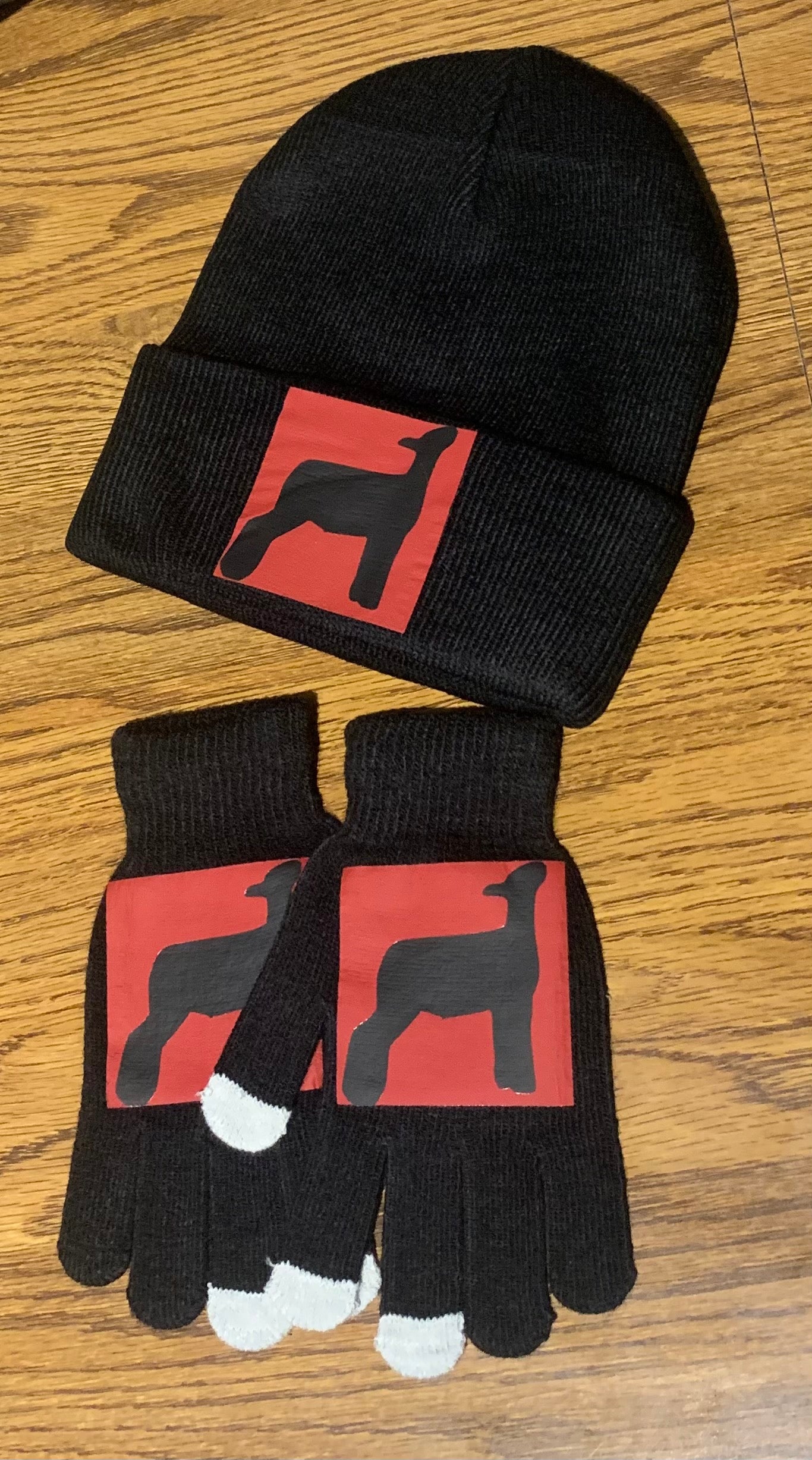 Winter Hat & Magic Texting Glove Set