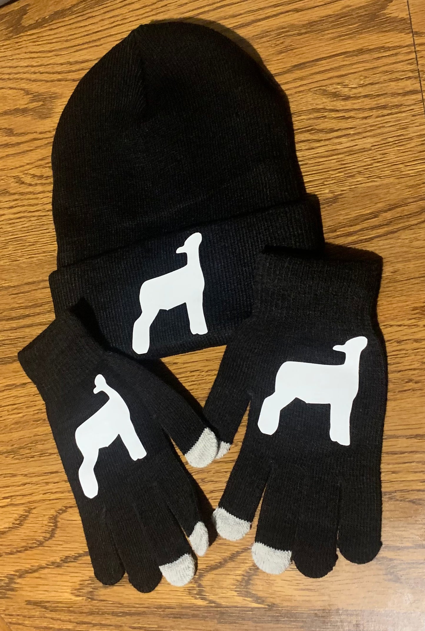 Winter Hat & Magic Texting Glove Set